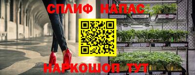 гашишное масло Будённовск