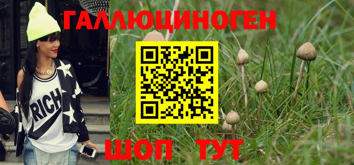 Галлюциногенные грибы MAGIC MUSHROOMS Ростов Великий