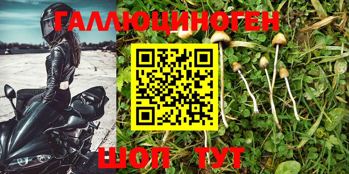 Псилоцибиновые грибы GOLDEN TEACHER  Вход с VPN  Галлюциногенные грибы Magic Shrooms  Ростов Великий 